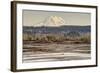 Washington. Mt Rainier in the Distance at the Nisqually-Matt Freedman-Framed Photographic Print