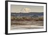 Washington. Mt Rainier in the Distance at the Nisqually-Matt Freedman-Framed Photographic Print