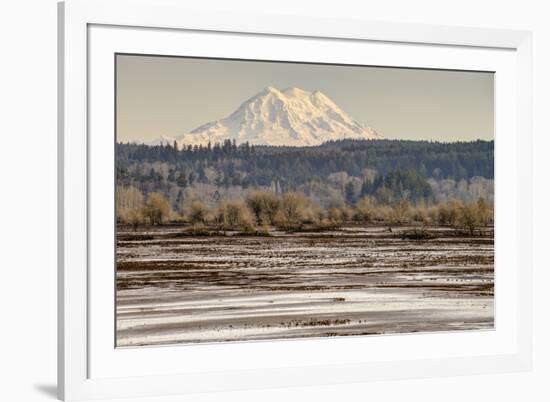 Washington. Mt Rainier in the Distance at the Nisqually-Matt Freedman-Framed Photographic Print