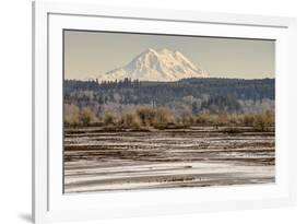 Washington. Mt Rainier in the Distance at the Nisqually-Matt Freedman-Framed Photographic Print