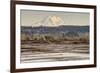 Washington. Mt Rainier in the Distance at the Nisqually-Matt Freedman-Framed Photographic Print