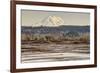 Washington. Mt Rainier in the Distance at the Nisqually-Matt Freedman-Framed Photographic Print