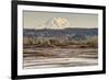 Washington. Mt Rainier in the Distance at the Nisqually-Matt Freedman-Framed Photographic Print