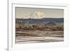 Washington. Mt Rainier in the Distance at the Nisqually-Matt Freedman-Framed Photographic Print