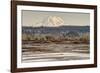 Washington. Mt Rainier in the Distance at the Nisqually-Matt Freedman-Framed Photographic Print