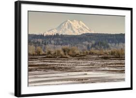 Washington. Mt Rainier in the Distance at the Nisqually-Matt Freedman-Framed Photographic Print