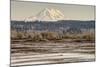 Washington. Mt Rainier in the Distance at the Nisqually-Matt Freedman-Mounted Photographic Print