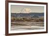 Washington. Mt Rainier in the Distance at the Nisqually-Matt Freedman-Framed Photographic Print