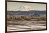 Washington. Mt Rainier in the Distance at the Nisqually-Matt Freedman-Framed Photographic Print