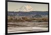 Washington. Mt Rainier in the Distance at the Nisqually-Matt Freedman-Framed Photographic Print