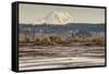 Washington. Mt Rainier in the Distance at the Nisqually-Matt Freedman-Framed Stretched Canvas