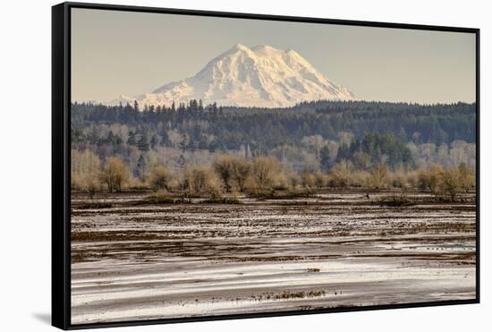 Washington. Mt Rainier in the Distance at the Nisqually-Matt Freedman-Framed Stretched Canvas