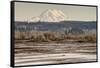 Washington. Mt Rainier in the Distance at the Nisqually-Matt Freedman-Framed Stretched Canvas