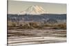 Washington. Mt Rainier in the Distance at the Nisqually-Matt Freedman-Stretched Canvas