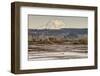 Washington. Mt Rainier in the Distance at the Nisqually-Matt Freedman-Framed Photographic Print