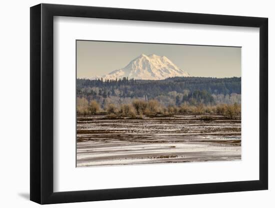 Washington. Mt Rainier in the Distance at the Nisqually-Matt Freedman-Framed Photographic Print