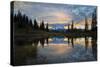 Washington, Mt. Rainier National Park-Gary Luhm-Stretched Canvas