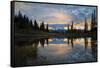 Washington, Mt. Rainier National Park-Gary Luhm-Framed Stretched Canvas