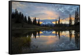 Washington, Mt. Rainier National Park-Gary Luhm-Framed Stretched Canvas