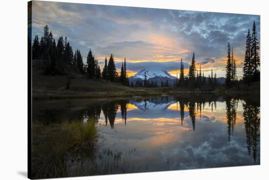 Washington, Mt. Rainier National Park-Gary Luhm-Stretched Canvas