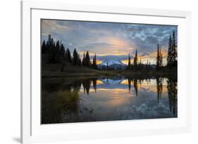 Washington, Mt. Rainier National Park-Gary Luhm-Framed Photographic Print