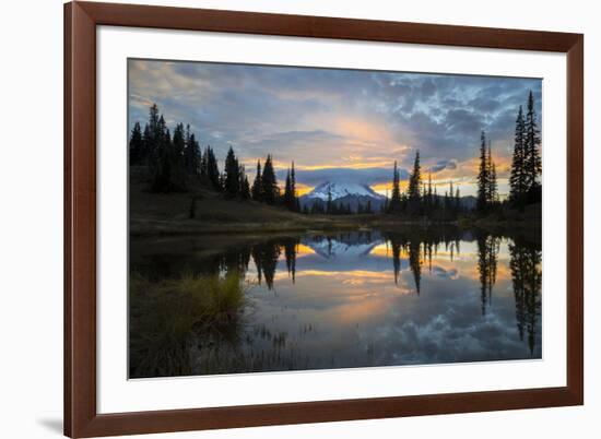 Washington, Mt. Rainier National Park-Gary Luhm-Framed Photographic Print