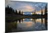 Washington, Mt. Rainier National Park-Gary Luhm-Mounted Photographic Print