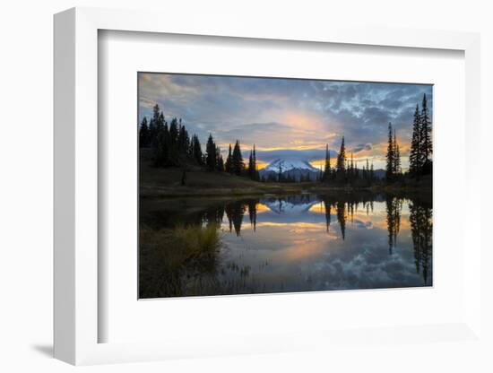 Washington, Mt. Rainier National Park-Gary Luhm-Framed Photographic Print