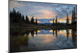 Washington, Mt. Rainier National Park-Gary Luhm-Mounted Photographic Print