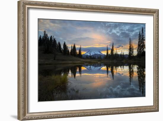 Washington, Mt. Rainier National Park-Gary Luhm-Framed Photographic Print