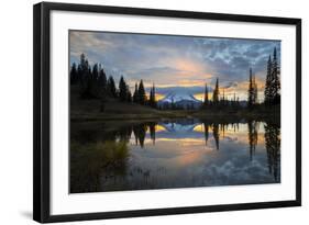 Washington, Mt. Rainier National Park-Gary Luhm-Framed Photographic Print