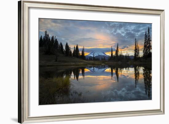 Washington, Mt. Rainier National Park-Gary Luhm-Framed Photographic Print