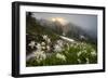 Washington, Mt. Rainier National Park-Gary Luhm-Framed Photographic Print