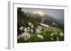 Washington, Mt. Rainier National Park-Gary Luhm-Framed Photographic Print