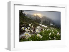 Washington, Mt. Rainier National Park-Gary Luhm-Framed Photographic Print