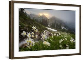 Washington, Mt. Rainier National Park-Gary Luhm-Framed Photographic Print