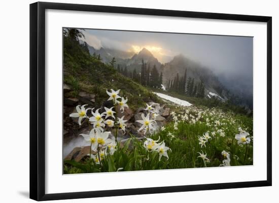 Washington, Mt. Rainier National Park-Gary Luhm-Framed Photographic Print