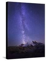 Washington, Mt. Rainier National Park-Gary Luhm-Stretched Canvas