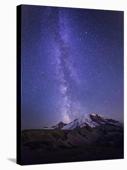 Washington, Mt. Rainier National Park-Gary Luhm-Stretched Canvas