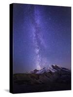 Washington, Mt. Rainier National Park-Gary Luhm-Stretched Canvas