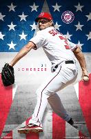 WASHINGTON NATIONALS - M SCHERZER 19-null-Lamina Framed Poster