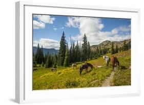 Washington, North Cascades, Slate Pass. Horses and Mules Foraging-Steve Kazlowski-Framed Photographic Print