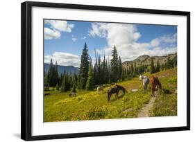 Washington, North Cascades, Slate Pass. Horses and Mules Foraging-Steve Kazlowski-Framed Photographic Print