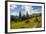 Washington, North Cascades, Slate Pass. Horses and Mules Foraging-Steve Kazlowski-Framed Photographic Print