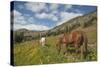 Washington, North Cascades, Slate Pass. Horses and Mules Foraging-Steve Kazlowski-Stretched Canvas