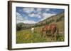 Washington, North Cascades, Slate Pass. Horses and Mules Foraging-Steve Kazlowski-Framed Photographic Print