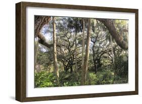 Washington Oaks 1-Robert Goldwitz-Framed Giclee Print