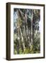 Washington Oaks vertical 2-Robert Goldwitz-Framed Giclee Print