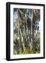 Washington Oaks vertical 2-Robert Goldwitz-Framed Giclee Print