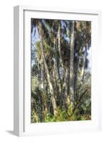 Washington Oaks vertical 2-Robert Goldwitz-Framed Giclee Print